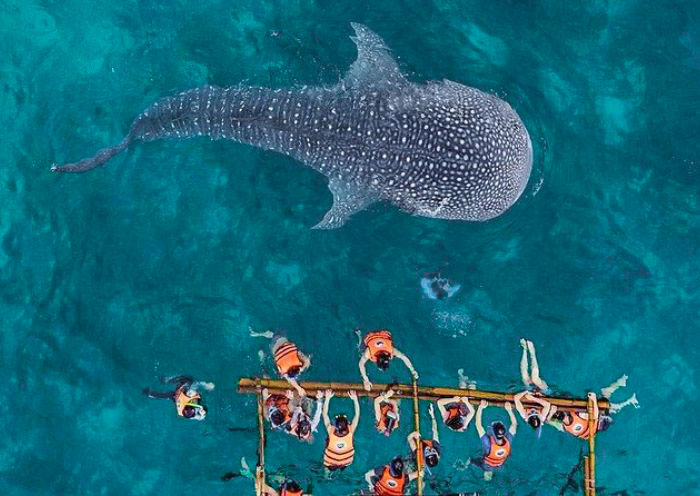 Philippines 6 Days Cebu and Bohol Island Cycling Tours
